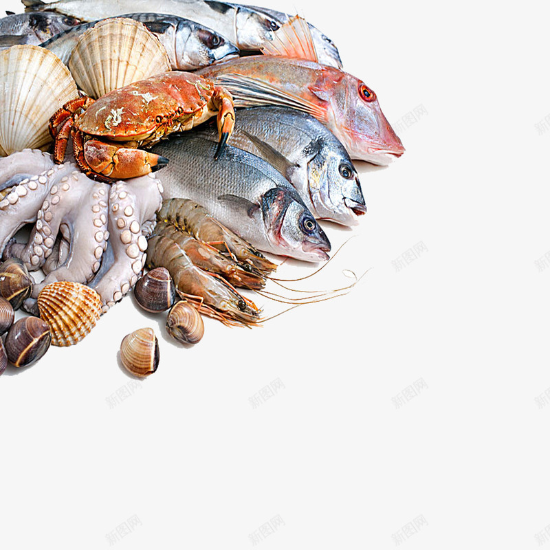 海鲜合集png免抠素材_88icon https://88icon.com 海鱼 海鲜大咖 海鲜大排档 虾 螃蟹 食物 鱿鱼