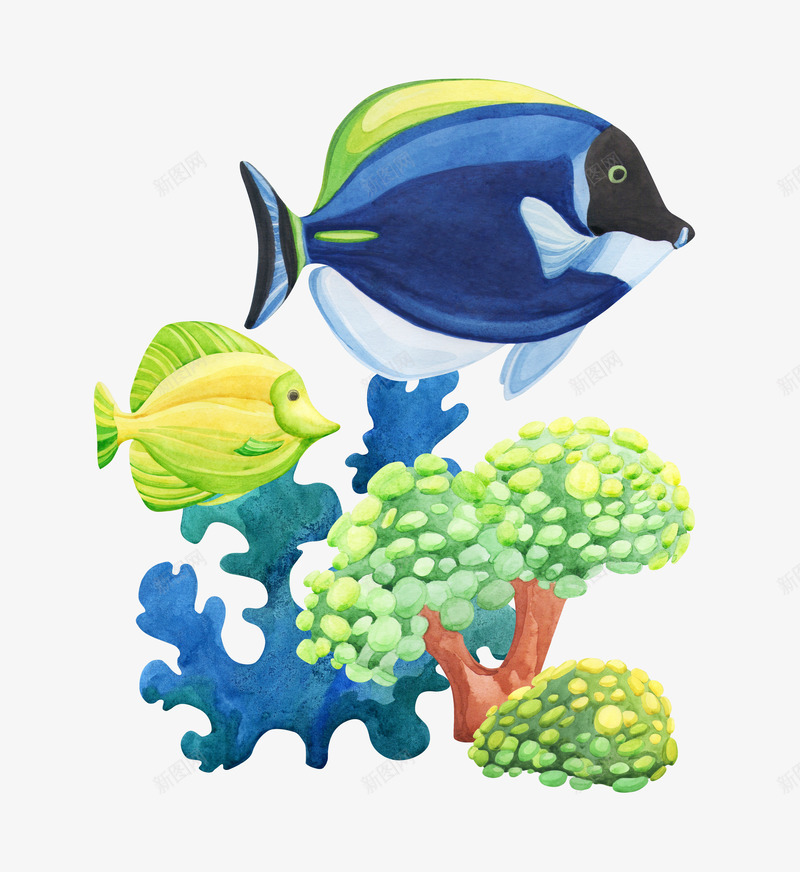 海底植物上的小鱼png免抠素材_88icon https://88icon.com 动物 卡通手绘 小鱼 彩色小鱼 植物 海藻 装饰图