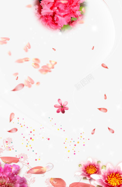康乃馨花瓣花瓣背景1高清图片