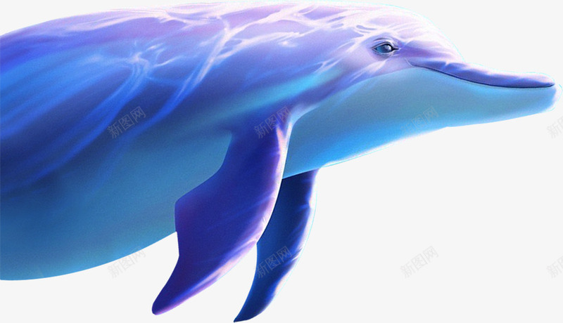 蓝色海豚夏天png免抠素材_88icon https://88icon.com 夏天 海豚 蓝色
