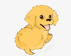棕色的毛发背对着的小黄狗高清图片