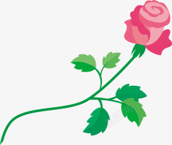玫瑰花月季花矢量图素材