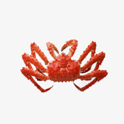 红色螃蟹素材