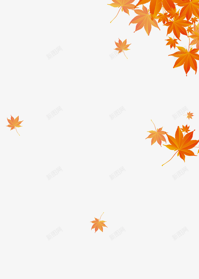 秋天的红色枫叶png免抠素材_88icon https://88icon.com 枫叶 树叶 秋 秋天 红叶 翅膀落叶 落叶