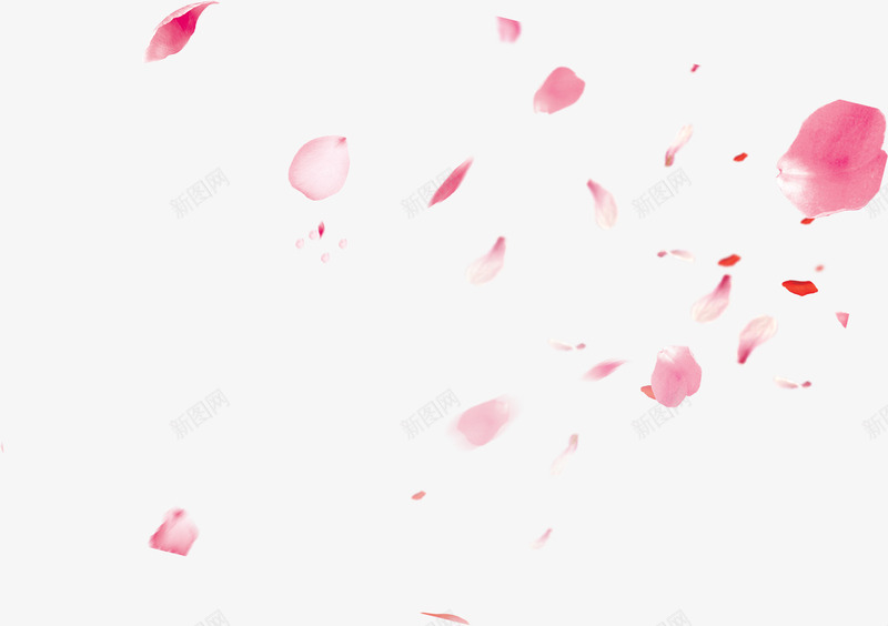 粉色情人节漂浮花瓣png免抠素材_88icon https://88icon.com 一朵朵 婚庆 婚礼 完结撒花 情人节 洒落花瓣 浪漫 爱情 玫瑰花瓣 花朵 花瓣 花瓣掉落 花飘落