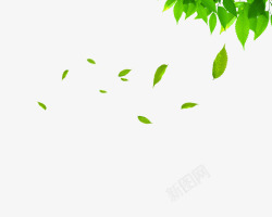 绿色植物树叶装修素材