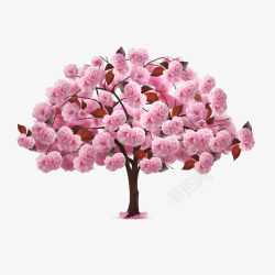 粉色花树素材