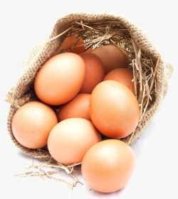 鸡蛋矢量素材土鸡蛋高清图片