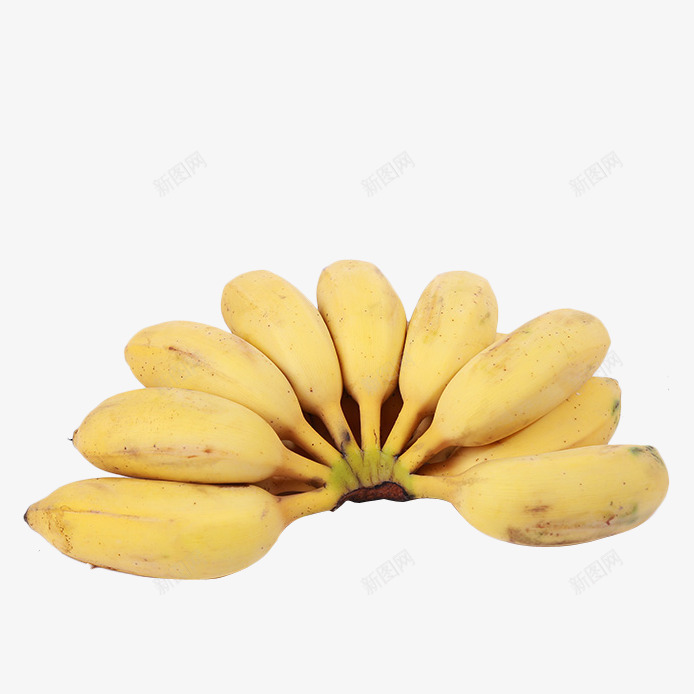一串美味的小米蕉实物png免抠素材_88icon https://88icon.com 亚热带 健康 小米蕉 广东 水果 皇帝蕉 美味 营养 香蕉