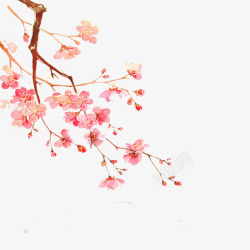 粉红色玫瑰花藤粉色梅花水墨高清图片