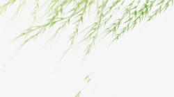 绿色手绘风吹动的柳树枝背景素材