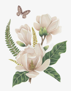 蝴蝶白色手绘白色花朵绿叶蝴蝶高清图片