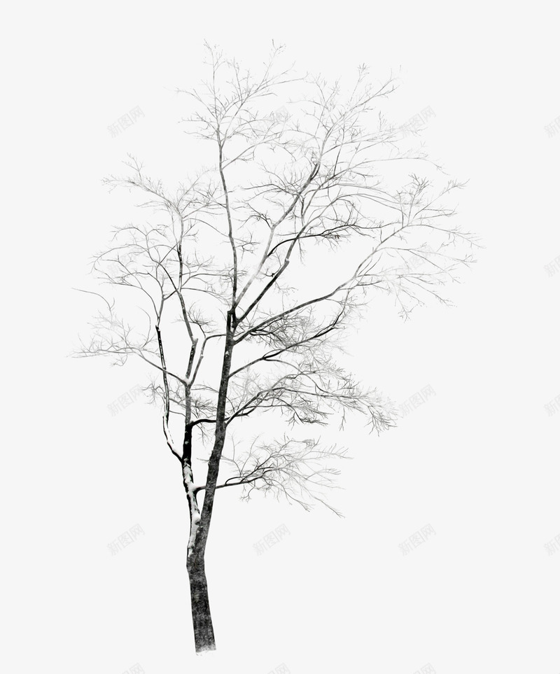 冬天白雪覆盖的树枝png免抠素材_88icon https://88icon.com 下雪 下雪标志 冬 冬季 枝头积雪 树干 树木 树枝 白雪覆盖 雪景