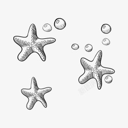 海底世界手绘手绘海星泡泡高清图片