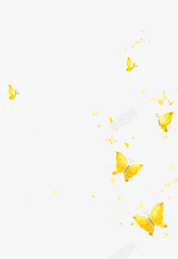 黄色小动物飞舞的蝴蝶高清图片
