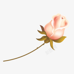 手绘粉色玫瑰花矢量图素材
