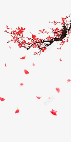 红色新年冬日寒梅落花素材