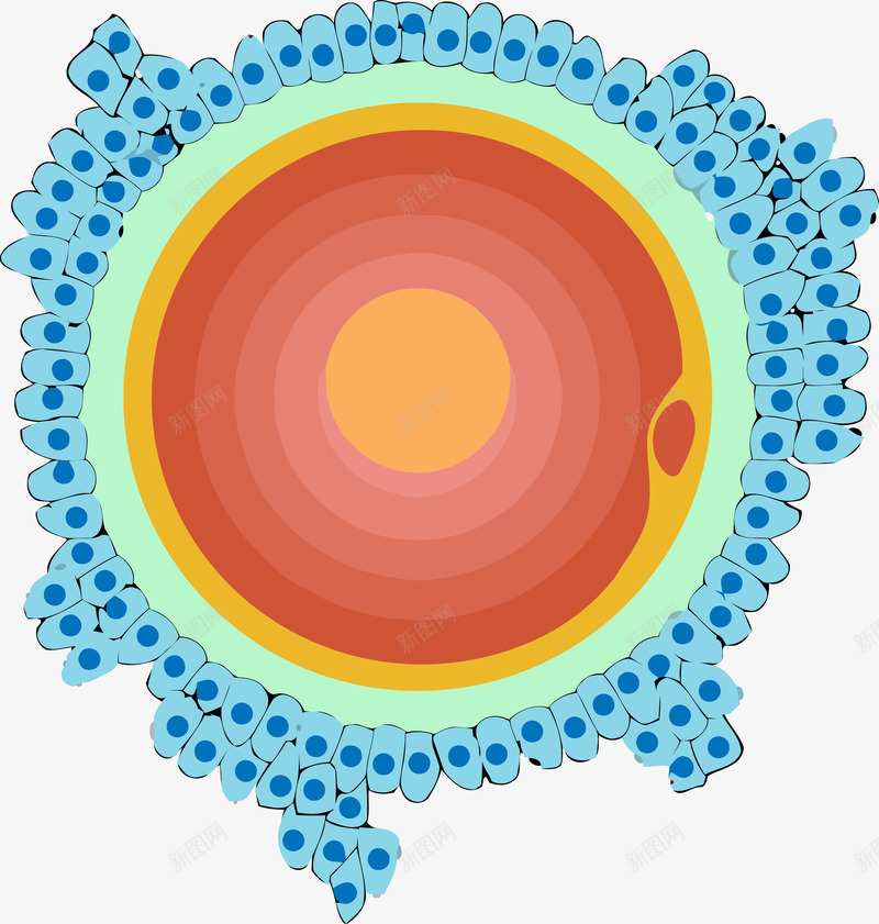 显微镜下的细胞分裂图矢量图eps免抠素材_88icon https://88icon.com 显微镜 生物医疗 生物学 生物研究 真菌 细胞 细胞高清大图 细菌 细菌结构 蛋白质细胞 矢量图