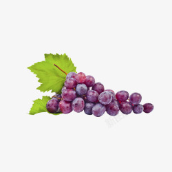 紫色葡萄新鲜水果素材