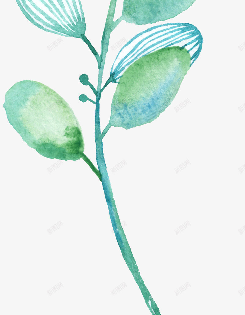 绿色水彩画草树叶4png免抠素材_88icon https://88icon.com 免扣 手绘 树叶 树叶一串 水彩画 绿色 花草