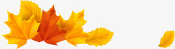 秋天飘落的黄色枫叶秋天枫叶树叶高清图片