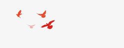 98周年红色和平鸽高清图片