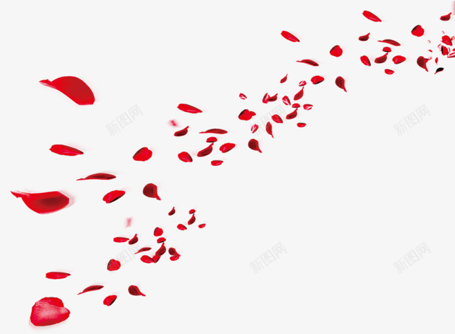 红色花瓣花朵不规则漂浮装饰png免抠素材_88icon https://88icon.com 不规则 漂浮 红色 花朵 花瓣 装饰