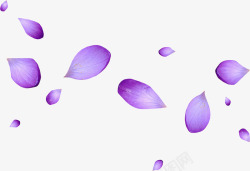 情人节贺卡紫色花瓣高清图片