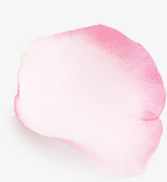粉色花瓣主页装修素材