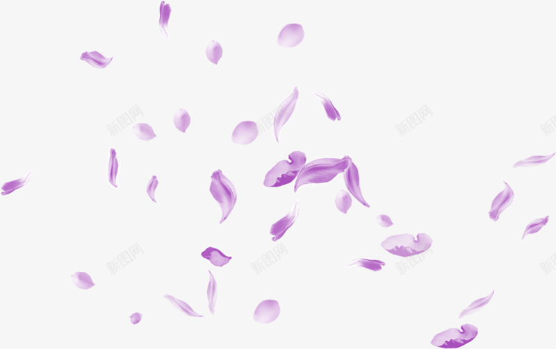 紫色的花瓣合成形状png免抠素材_88icon https://88icon.com 合成 形状 紫色 花瓣