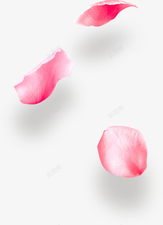 手绘春日美景花瓣png免抠素材_88icon https://88icon.com 粉色 花瓣 花飘落 飞舞 手绘 春日 美景