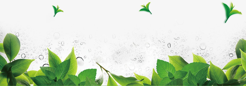 绿色植物萌芽装修png免抠素材_88icon https://88icon.com 绿色植物 萌芽 装修