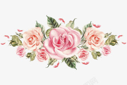清新玫瑰手绘粉色玫瑰花簇高清图片