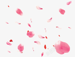 玫瑰瓣飘零背景漂浮粉色玫瑰花瓣高清图片