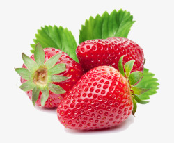 瓜果蔬菜剪影草莓高清图片