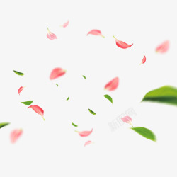 飘散的绿叶粉色桃花花瓣元素高清图片