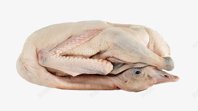 鹅肉png免抠素材_88icon https://88icon.com 原材料 生的 生禽 美味的 食物 鹅肉