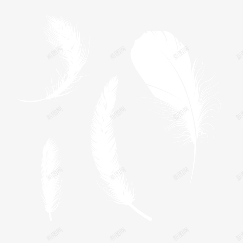 飘落的羽毛png免抠素材_88icon https://88icon.com 简易羽毛 纯洁 羽毛 装饰 飘落 飘逸的羽毛
