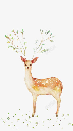 圣诞鹿动物装饰清新小鹿高清图片