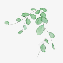 水彩树叶素材水彩春天植物叶子藤蔓高清图片
