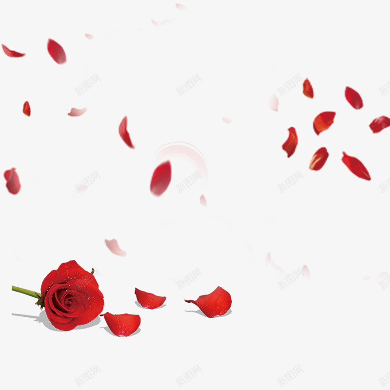 红色现代海报装饰png免抠素材_88icon https://88icon.com 38 女人节 妇女节 爱心 玫瑰 现代 红色 艺术 花瓣 魅力