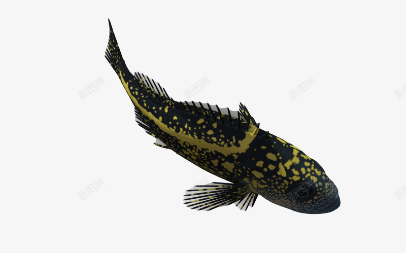 生物3d卡通动物png免抠素材_88icon https://88icon.com 海底世界 海底生物 海洋 海洋生物 海洋素材