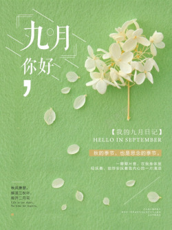 秋季秋天女孩秋叶考虑素材