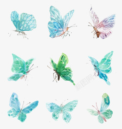 精美绿色标签一群水墨蝴蝶高清图片