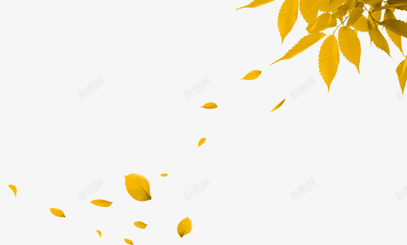 漂浮的树叶png免抠素材_88icon https://88icon.com 漂浮的黄色树叶 翅膀落叶 落叶 黄色树叶