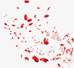 花瓣飞舞飞舞的红色花瓣元素高清图片