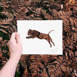 一张豹子图案的纸素材