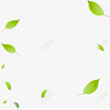 漂浮春季装饰绿叶植物png免抠素材_88icon https://88icon.com 春季 植物 漂浮 绿叶 装饰