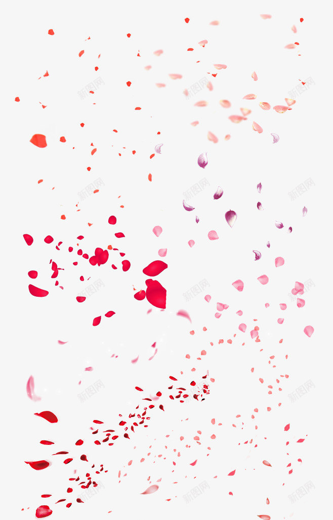 飞舞玫瑰花瓣png免抠素材_88icon https://88icon.com 图片 玫瑰 花瓣 花飘落 飞舞