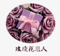 紫色仿真玫瑰花与礼物素材